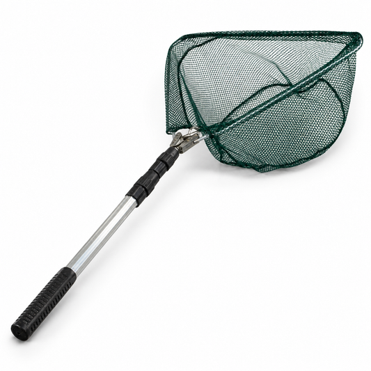 CAPACHO blanco verde