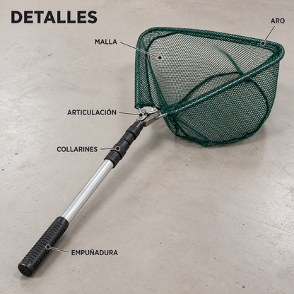 CAPACHO detalles