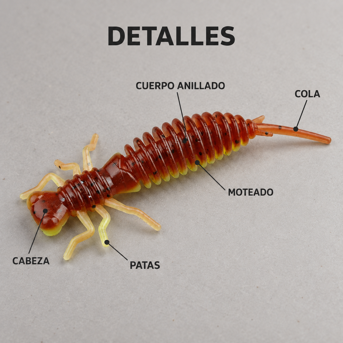 DORADA detalles