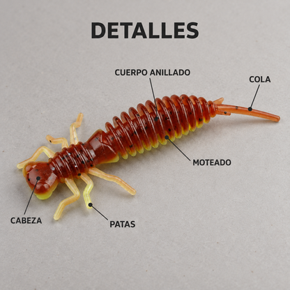 DORADA detalles